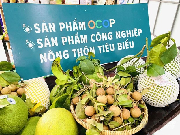 Diễn đàn OCOP vùng Đồng bằng sông Cửu Long 2025 kết nối, thúc đẩy phát triển kinh tế nông thôn bền vững Diễn đàn OCOP vùng Đồng bằng sông Cửu Long 2025 kết nối, thúc đẩy phát triển kinh tế nông thôn bền vững