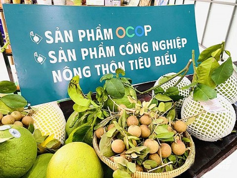 Diễn đàn OCOP vùng Đồng bằng sông Cửu Long 2025 kết nối, thúc đẩy phát triển kinh tế nông thôn bền vững