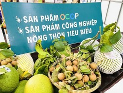 Diễn đàn OCOP vùng Đồng bằng sông Cửu Long 2025 kết nối, thúc đẩy phát triển kinh tế nông thôn bền vững