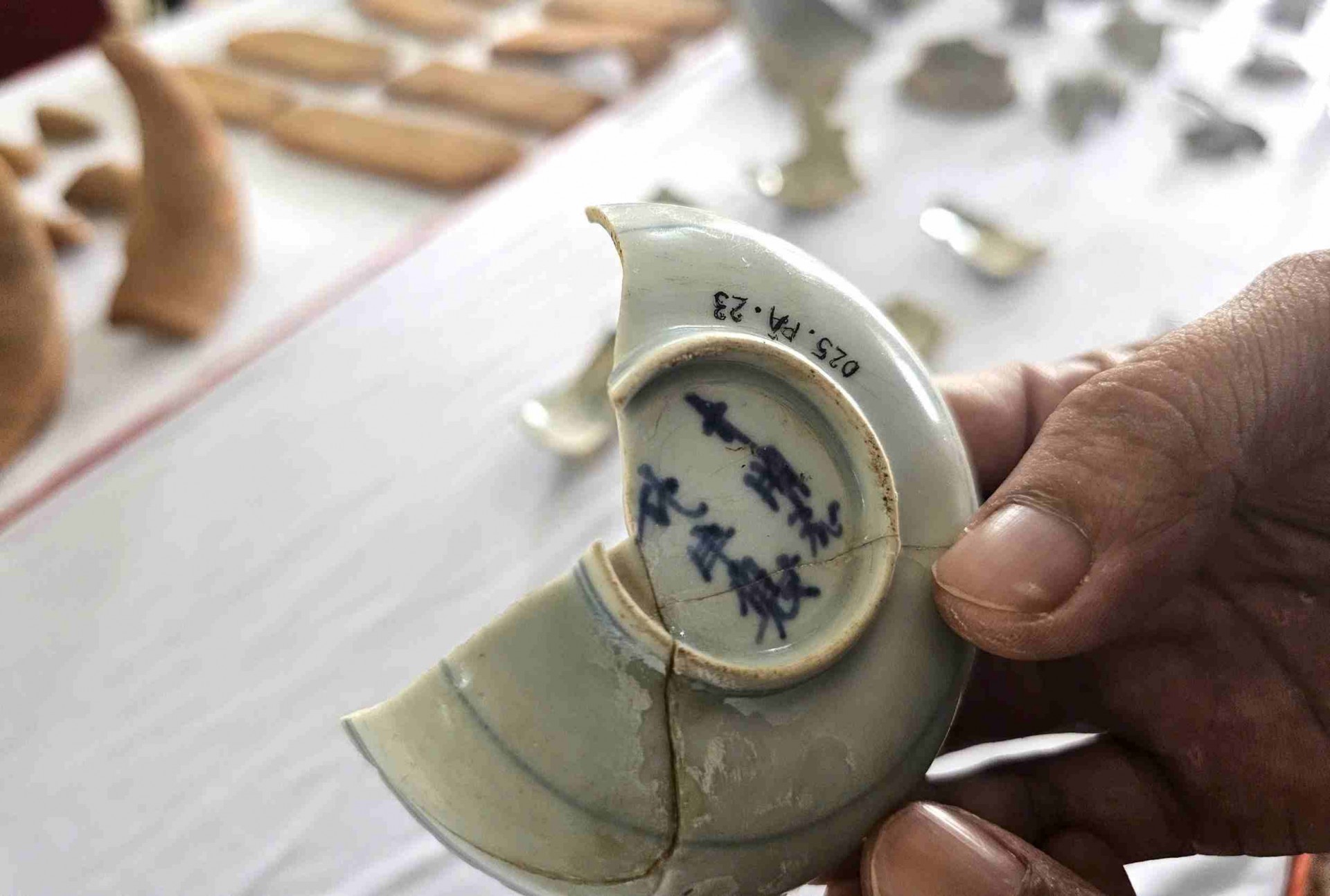 Phế tích tháp Phú Ân quần thể kiến trúc Champa quy mô lớn tại Gia Lai