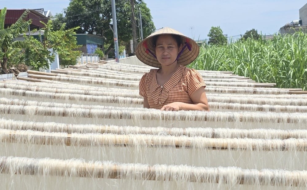 Nghề làm miến gạo đến sản phẩm OCOP 3 sao