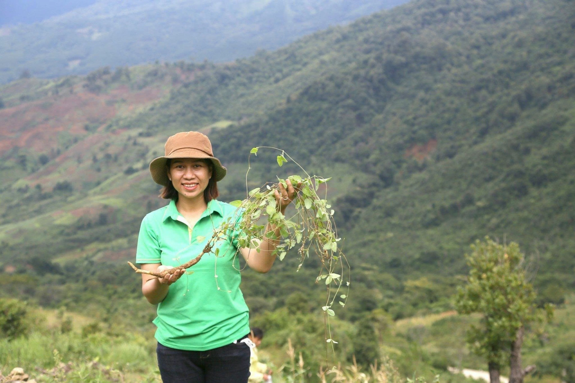 Đặc sản sâm dây Kon Tum