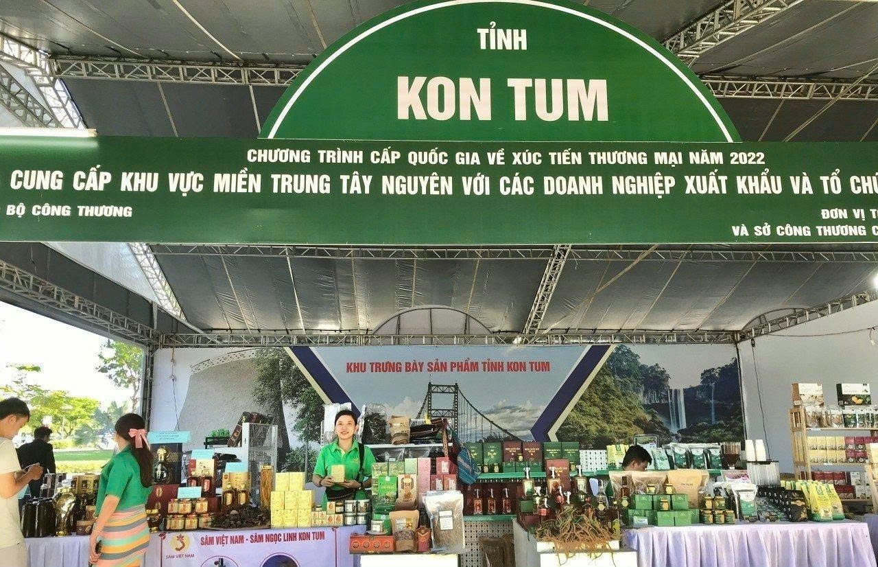 Đặc sản sâm dây Kon Tum