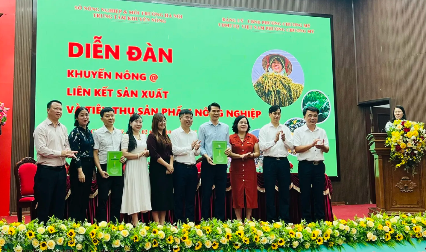 Chương Mỹ tăng cường liên kết sản xuất và tiêu thụ nông sản bền vững Chương Mỹ tăng cường liên kết sản xuất và tiêu thụ nông sản bền vững