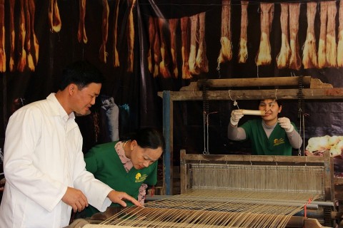 Từ nỗi trăn trở quê hương đến hành trình khởi nghiệp xanh nơi núi rừng Tam Đảo