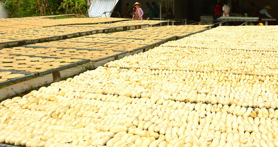 Giữ vị quê hương ở làng nghề ép chuối khô Cà Mau