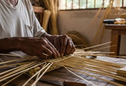 Tre trúc vẫn xanh mong làng nghề Ba Tri không tàn phai