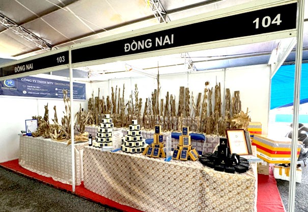 Công ty TNHH MTV Trương Thanh Khoan kỳ vọng, việc đầu tư mạnh mẽ vào công nghệ, quy mô sản xuất sẽ trở thành nền tảng vững chắc giúp doanh nghiệp chinh phục thị trường quốc tế, khẳng định giá trị của trầm hương sạch Việt Nam. Công ty TNHH MTV Trương Thanh Khoan kỳ vọng, việc đầu tư mạnh mẽ vào công nghệ, quy mô sản xuất sẽ trở thành nền tảng vững chắc giúp doanh nghiệp chinh phục thị trường quốc tế, khẳng định giá trị của trầm hương sạch Việt Nam.