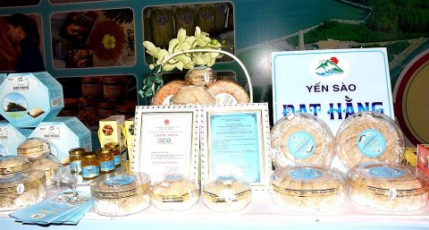 ca mau ban hanh chuong trinh khuyen cong giai doan 2026 2030