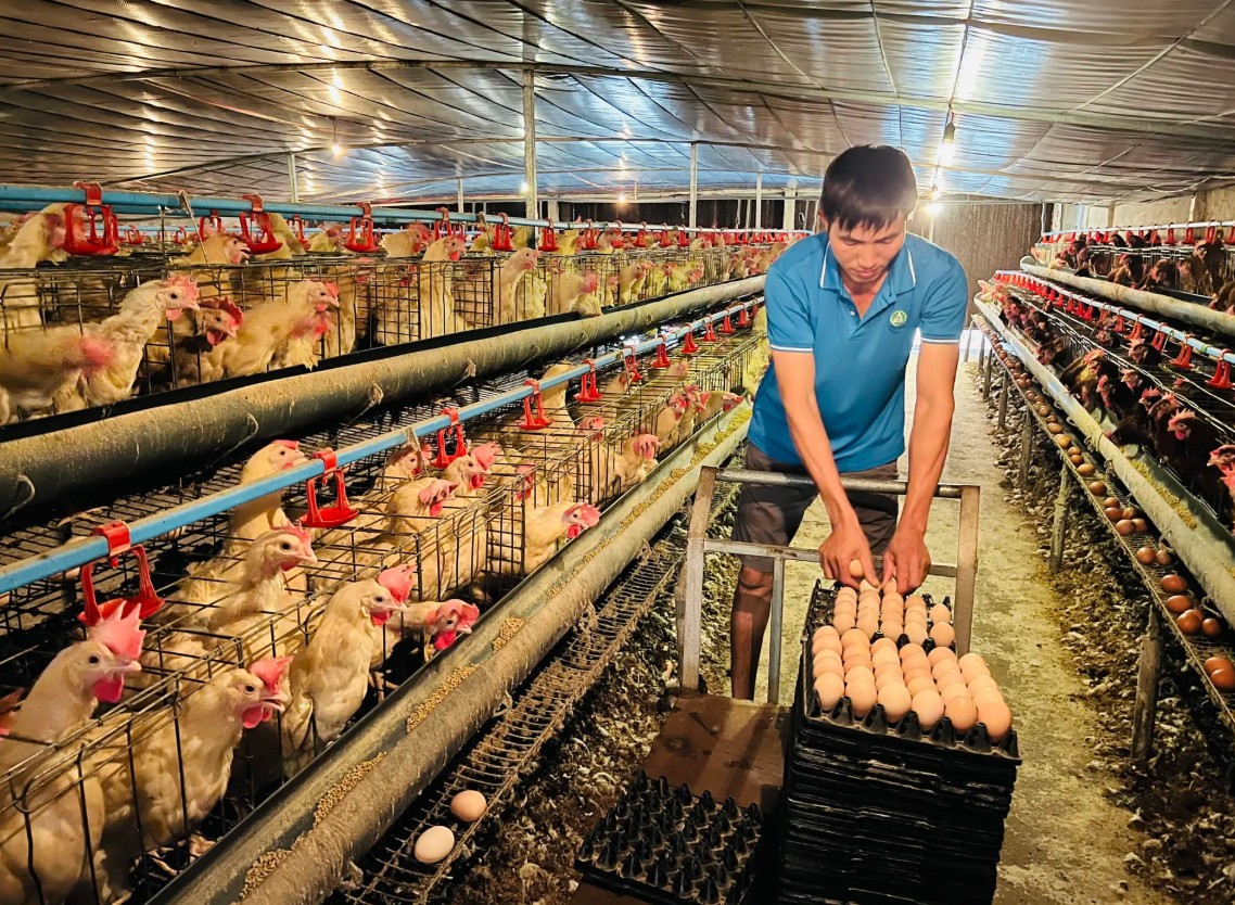 Quỹ Khuyến nông Hà Nội – Động lực tài chính cho chuyển đổi nông nghiệp xanh và công nghệ cao Quỹ Khuyến nông Hà Nội – Động lực tài chính cho chuyển đổi nông nghiệp xanh và công nghệ cao