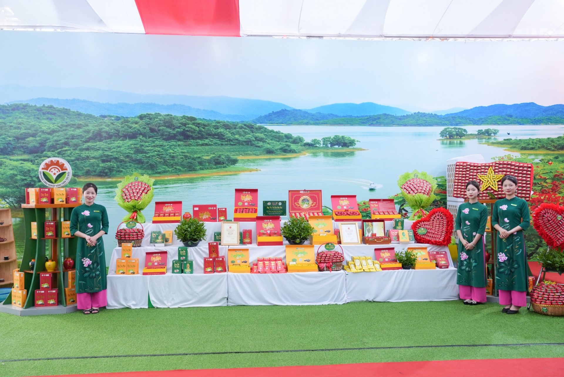 Từ búp trà non Tân Cương đến chuẩn OCOP 5 sao cấp quốc gia