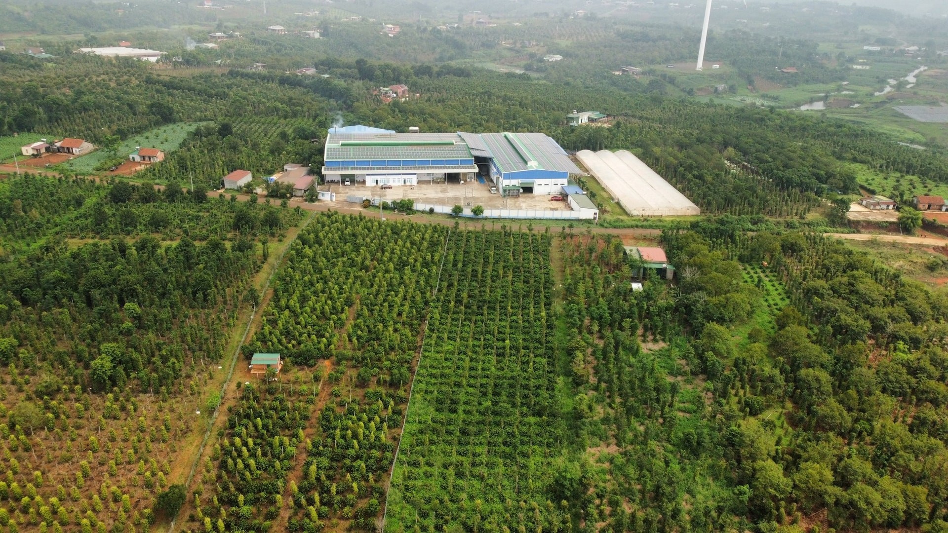 Lâm Đồng giữ vững tiêu chí nông thôn mới hướng đến phát triển bền vững Lâm Đồng giữ vững tiêu chí nông thôn mới hướng đến phát triển bền vững