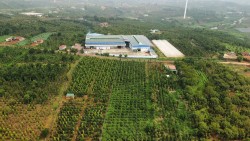 Lâm Đồng giữ vững tiêu chí nông thôn mới hướng đến phát triển bền vững
