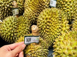 Số hóa nông nghiệp bằng công nghệ hiện đại