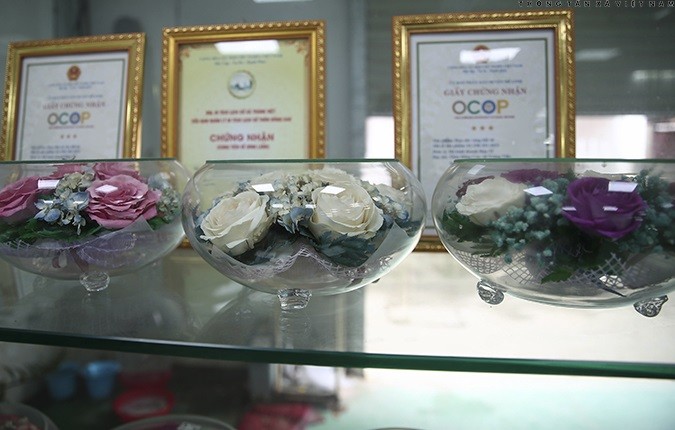 Hoa bất tử Mê Linh – Khi sáng tạo biến cái đẹp thành giá trị bền lâu Hoa bất tử Mê Linh – Khi sáng tạo biến cái đẹp thành giá trị bền lâu