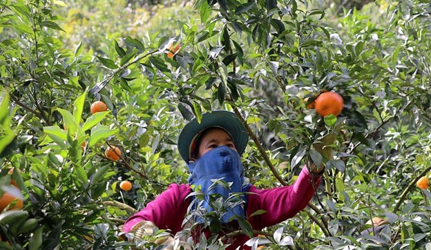 Phú Thọ chung sức xây dựng nông thôn mới hiện đại, đậm đà bản sắc