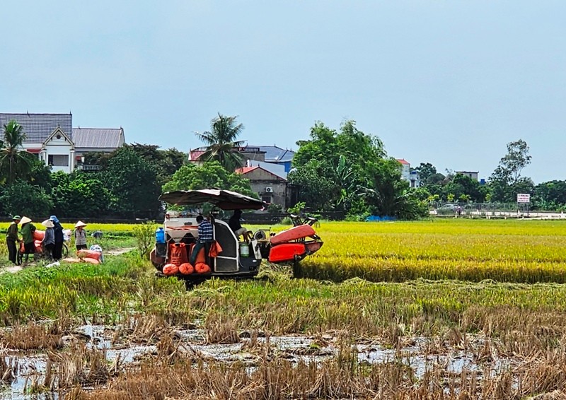 Khuyến công hỗ trợ cơ sở công nghiệp nông thôn chuyển từ sản xuất nhỏ sang quy mô hiện đại