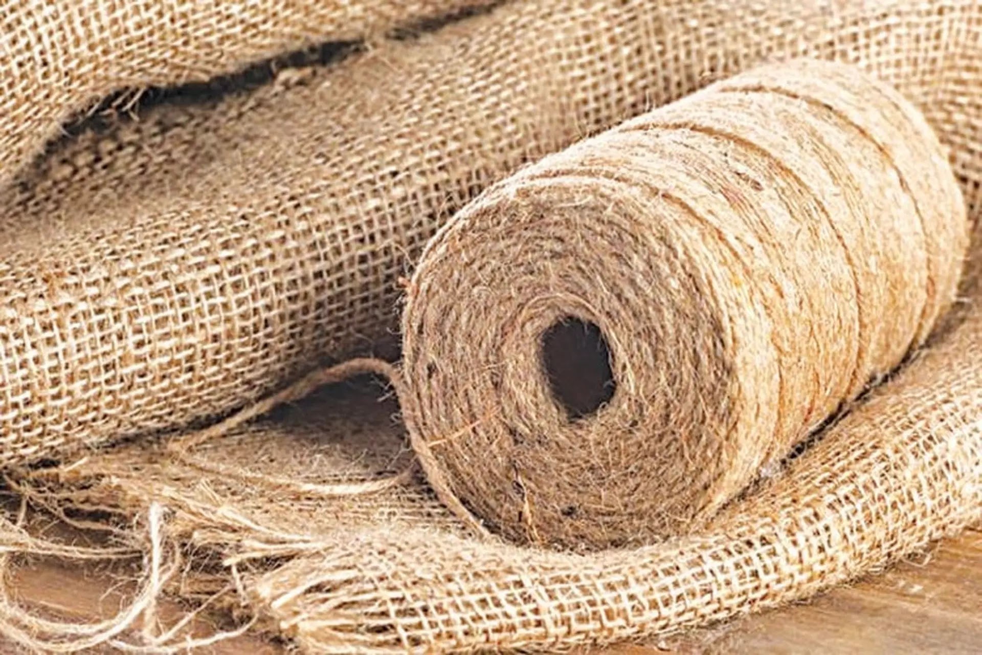 Nhớ mùa đay quê tôi