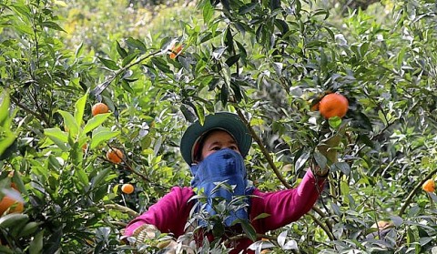 Phú Thọ chung sức xây dựng nông thôn mới hiện đại, đậm đà bản sắc