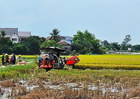 khuyen cong ho tro co so cong nghiep nong thon chuyen tu san xuat nho sang quy mo hien dai