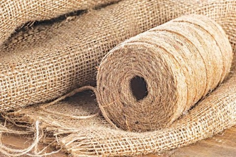 Nhớ mùa đay quê tôi