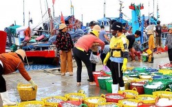 Nước mắm Cà Ná - Tinh hoa vùng biển Khánh Hòa