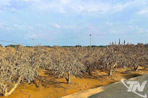 nguoi trong dao cam gia mong duoc ho tro khoi phuc san xuat sau bao lu