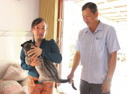 Hiệu quả từ mô hình nuôi chồn hương ở Hiệp Hưng