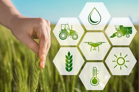 sap xep lai he thong khuyen nong de tang hieu qua phuc vu nong dan tu co so