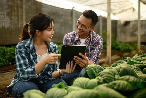 ban hanh thong tu huong dan to chuc va hoat dong khuyen nong cap tinh cap xa