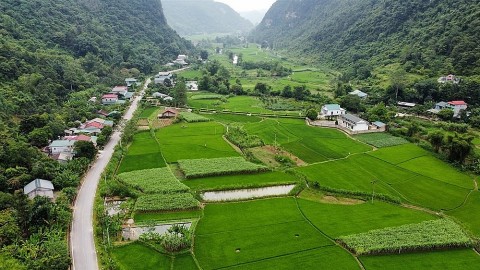 Trường Hà phát huy nội lực hướng tới xã nông thôn mới kiểu mẫu