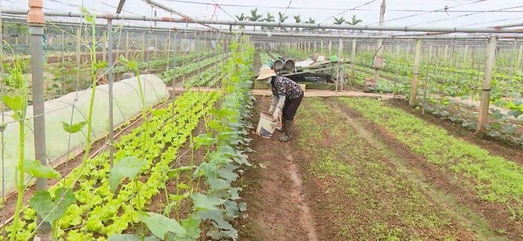 Phúc Lộc hướng 2030: Trở thành xã nông thôn mới kiểu mẫu