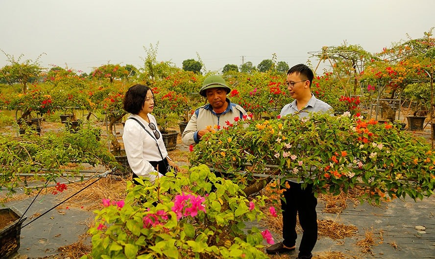 Phù Đổng: Xây dựng nông thôn mới xanh – văn minh – hiện đại