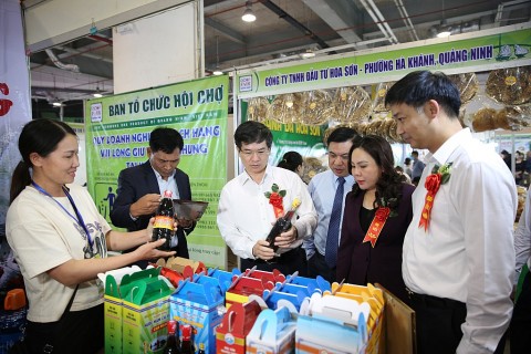 soi noi hoat dong mua sam tai hoi cho ocop quang ninh thu dong 2025