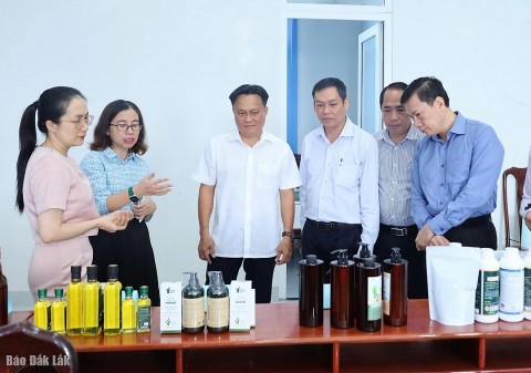 Đắk Lắk tập huấn nghiệp vụ khuyến công và xúc tiến thương mại cho cán bộ cơ sở