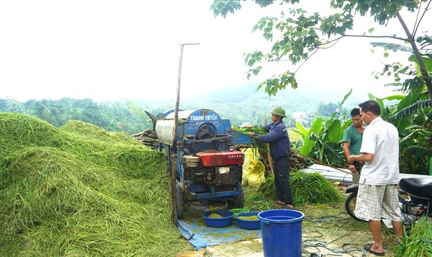 Về Hợp Thành trải nghiệm hương cốm mới Về Hợp Thành trải nghiệm hương cốm mới