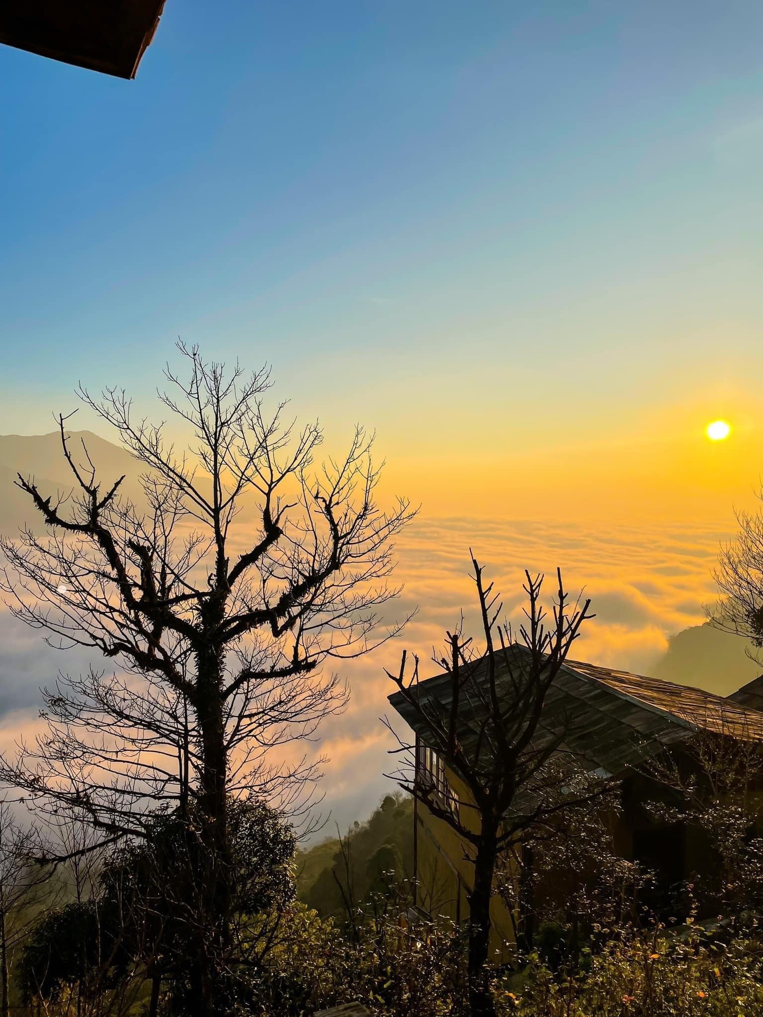 Mô hình homestay tại Tà Xùa: Khi du lịch săn mây đánh thức vùng cao Tây Bắc Mô hình homestay tại Tà Xùa: Khi du lịch săn mây đánh thức vùng cao Tây Bắc