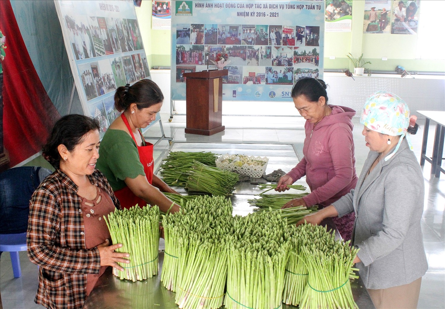 Măng tây xanh Tuấn Tú - sản phẩm OCOP 3 sao được bảo hộ thương hiệu Măng tây xanh Tuấn Tú - sản phẩm OCOP 3 sao được bảo hộ thương hiệu