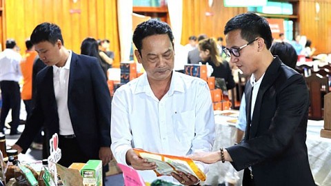 ho tro co so cong nghiep nong thon dau tu may moc thiet bi san xuat