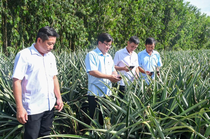 Nông dân Long Hưng ứng dụng công nghệ số vào sản xuất