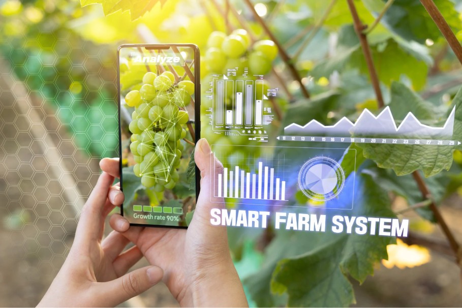 Nông dân Long Hưng ứng dụng công nghệ số vào sản xuất