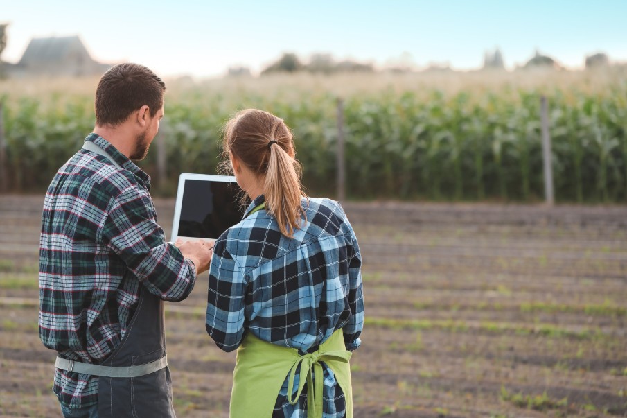 Thanh niên Điện Biên khởi nghiệp từ nông nghiệp xanh