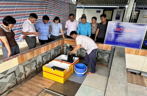 hai phong nong dan lam chu cong nghe vung buoc lam giau