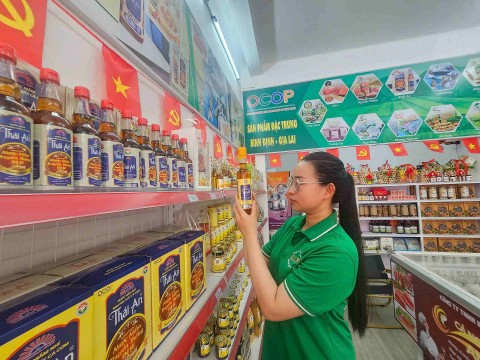 gia lai ban hanh quy che hoat dong cua hoi dong va to tu van danh gia phan hang san pham ocop