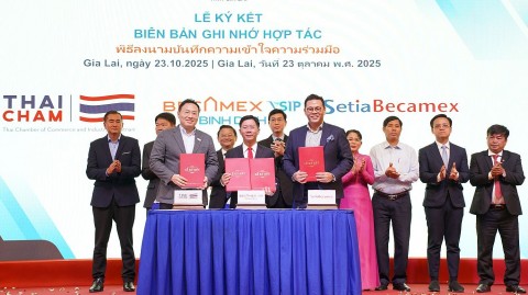 10 thang nam 2025 gia lai thu hut 161 du an voi hon 113 nghin ty dong