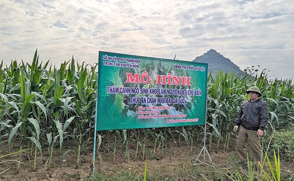 Các mô hình sau khi nhân rộng đều chứng minh hiệu quả rõ rệt, giúp thay đổi phương thức sản xuất, nâng cao năng suất và giá trị kinh tế cho người dân. Các mô hình sau khi nhân rộng đều chứng minh hiệu quả rõ rệt, giúp thay đổi phương thức sản xuất, nâng cao năng suất và giá trị kinh tế cho người dân.