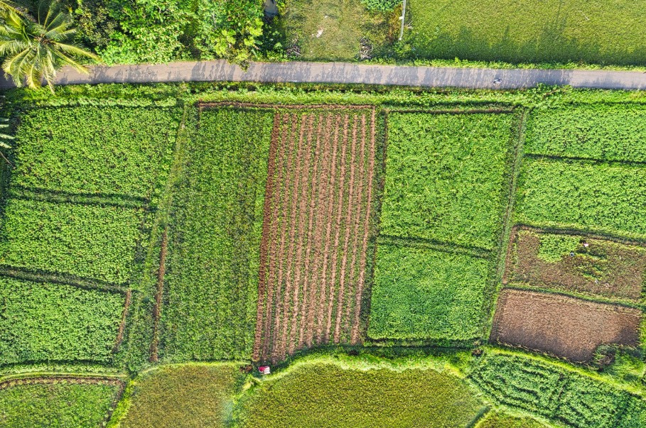 Thanh Hóa trên hành trình xây dựng nền nông nghiệp hiện đại Thanh Hóa trên hành trình xây dựng nền nông nghiệp hiện đại