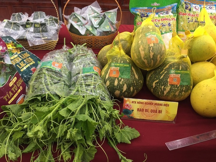 Quảng Bị: Nâng tầm giá trị sản phẩm địa phương qua chương trình OCOP