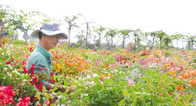 Nông thôn khởi sắc, thu nhập của người dân ngày càng nâng cao. Nông thôn khởi sắc, thu nhập của người dân ngày càng nâng cao.