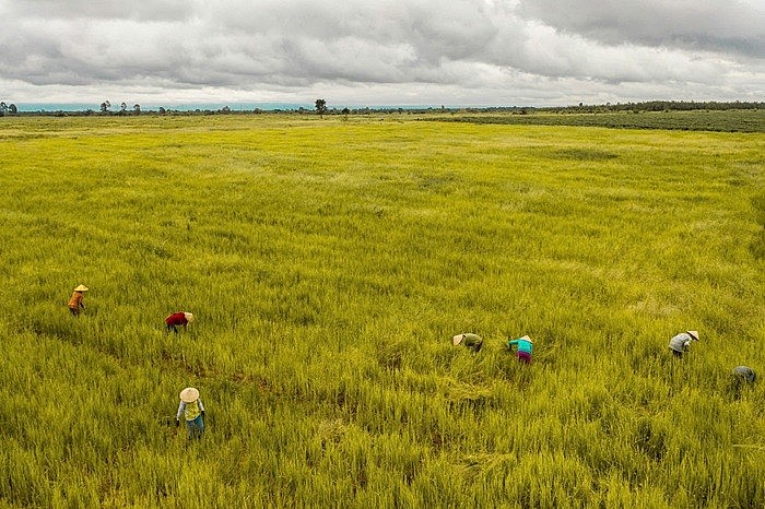 HTX GNES vẫn thường xuyên đối mặt thời tiết khắc nghiệt, điển hình như hiện tượng “El Nino” gây nắng nóng kéo dài, nguồn nước suối khô cạn nhanh hơn dự kiến